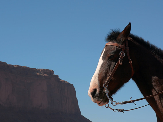 Transfer (Monument Valley), 2016